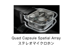 Quad Capsule Spatial Array XeI}CNz