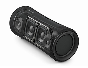 2Way Speaker System イメージ （『SRS-XG300』）