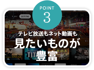 【point3】テレビ放送もネット動画も見たいものが豊富