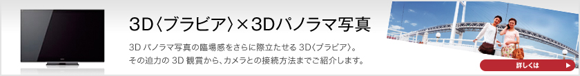 3D〈ブラビア〉×3Dパノラマ写真