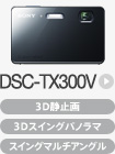 DSC-TX300V
