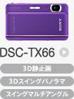 DSC-TX66