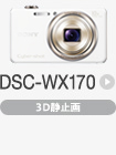 DSC-WX170