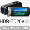 HDR-TD20V