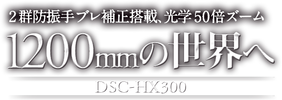 1200mm̐E DSC-HX300