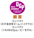 2013DGP-SUMMER-Bronze受賞