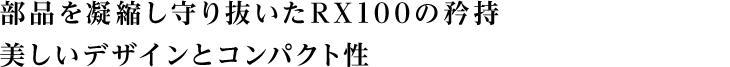 iÏk蔲RX100 fUCƃRpNg