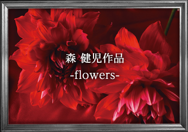 森 健児作品 -flowers-