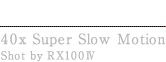 DOG 40x Super Slow Motion Shot By RX100IV
