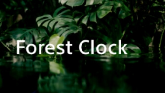 Forest ClockACR