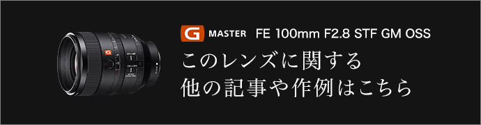 g master FE 100mm F2.8 STF GM OSS このレンズに関する他の記事や作例はこちら