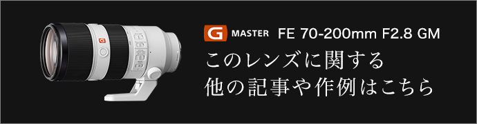 g master FE 70-200mm F2.8 GM OSS このレンズに関する他の記事や作例はこちら