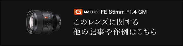 g master FE 85mm F1.4 GM このレンズに関する他の記事や作例はこちら