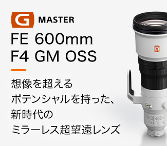 FE 600mm F4 GM OSS 想像を超えるポテンシャルを持った、新時代のミラーレス超望遠レンズ