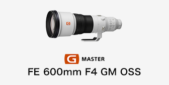 FE 600mm F4 GM