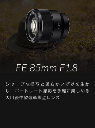 FE 85mm F1.8 シャープな描写と柔らかいぼけを生かし、ポートレート撮影を手軽に楽しめる大口径中望遠単焦点レンズ
