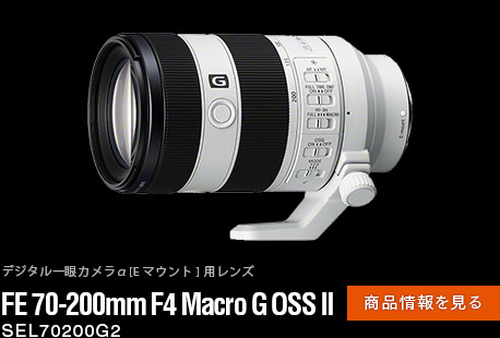 FE 70-200mm F4 Macro G OSS II iy[W