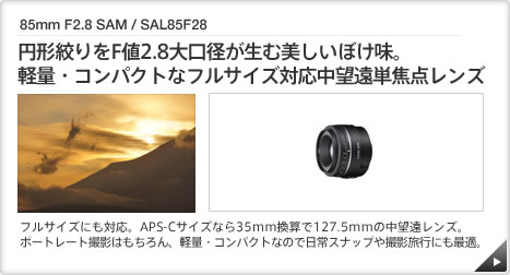 85mm F2.8 SAM / SAL85F28  ｜ 円形絞りをF値2.8大口径が生む美しいぼけ味。
軽量・コンパクトなフルサイズ対応中望遠単焦点レンズ ｜ フルサイズにも対応。APS-Cサイズなら35mm換算で127.5mmの中望遠レンズ。ポートレート撮影はもちろん、軽量・コンパクトなので日常スナップや撮影旅行にも最適。