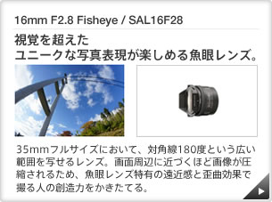16mm F2.8 Fisheye / SAL16F28 ｜ 視覚を超えたユニークな写真表現が楽しめる魚眼レンズ。 ｜ 35mmフルサイズにおいて、対角線180度という広い範囲を写せるレンズ。画面周辺に近づくほど画像が圧縮されるため、魚眼レンズ特有の遠近感と歪曲効果で撮る人の創造力をかきたてる。