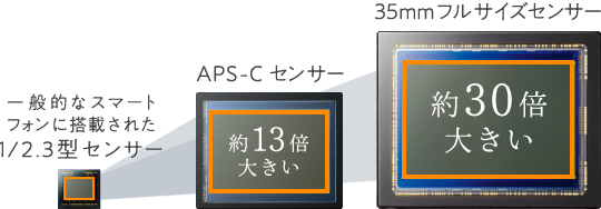 一般的なスマートフォンに搭載された1/2.3型センサー、APS-C センサー、35mmフルサイズセンサーの比較