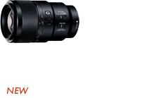 FE 90mm F2.8 Macro G OSS