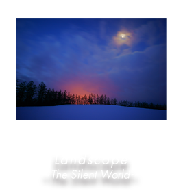 Landscape 〜 The Sinet World 〜
