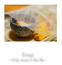 Snap 〜 Only once in the life 〜