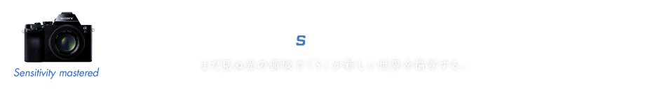 α7S GALLERY