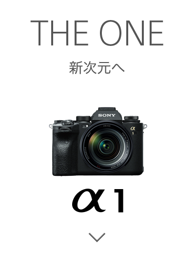 THE ONE 新次元へ α1