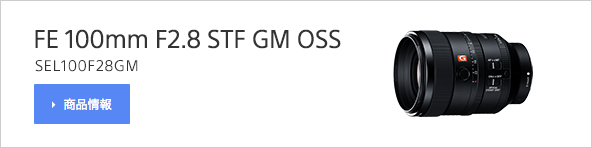 FE 100mm F2.8 STF GM OSS（SEL100F28GM）商品情報