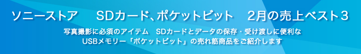 ソニーストア 　SDカード、ポケットビット　2月の売上ベスト３