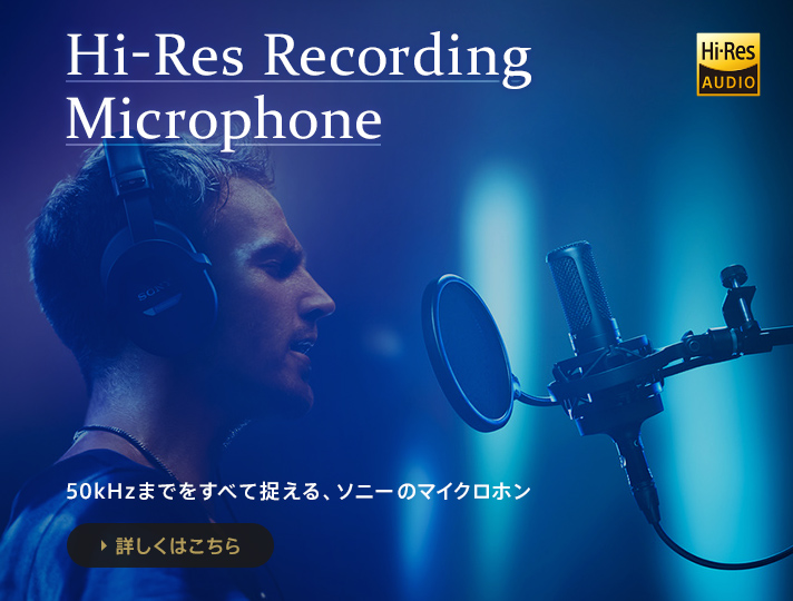 Hi-Res Recording Microphone