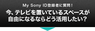 My Sony ID登録者に質問！今、テレビを置いているスペースが自由になるならどう活用したい？