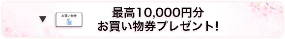 ō10,000~ v[gI