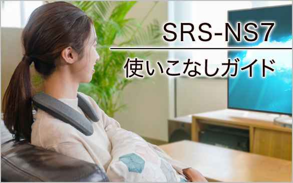 SRS-NS7 gȂKCh