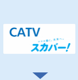 CATV XJp[I