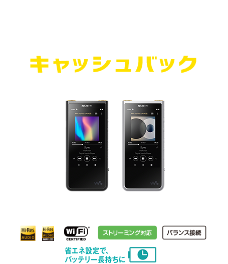 8,000~LbVobN NW-ZX500V[Y