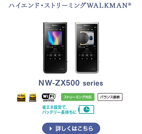NW-ZX500V[Y ڂ͂