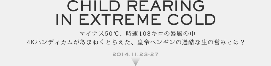 CHILD REARING IN EXTREME COLD }CiX50A108L̖\̒4KnfBJ܂˂Ƃ炦AcyM̉ߍȐ̉c݂Ƃ́H 2014.11.23-27