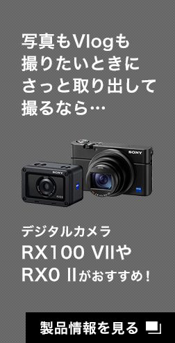写真もVlogも撮りたいときにさっと取り出して撮るなら… デジタルカメラRX100 VIIやRX0 IIがおすすめ！
