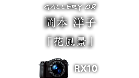 岡本 洋子「花写真」 RX10
