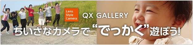 QXシリーズ　ギャラリー