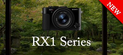 RX1 Series