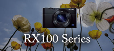 RX100 Series