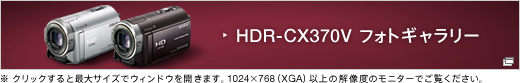 HDR-CX370V フォトギャラリー