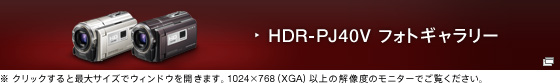 HDR-PJ40V フォトギャラリー