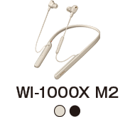 WI-1000X M2
