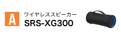 SRS-XG300
