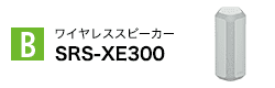 SRS-XE300