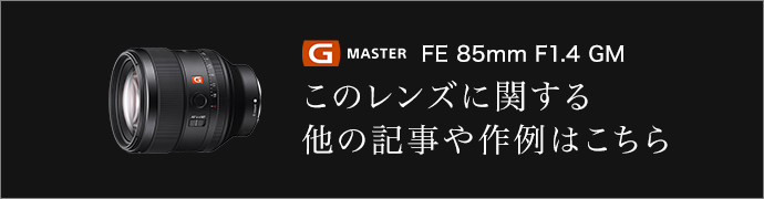 g master FE 85mm F1.4 GM ̃YɊւ鑼̋L͂